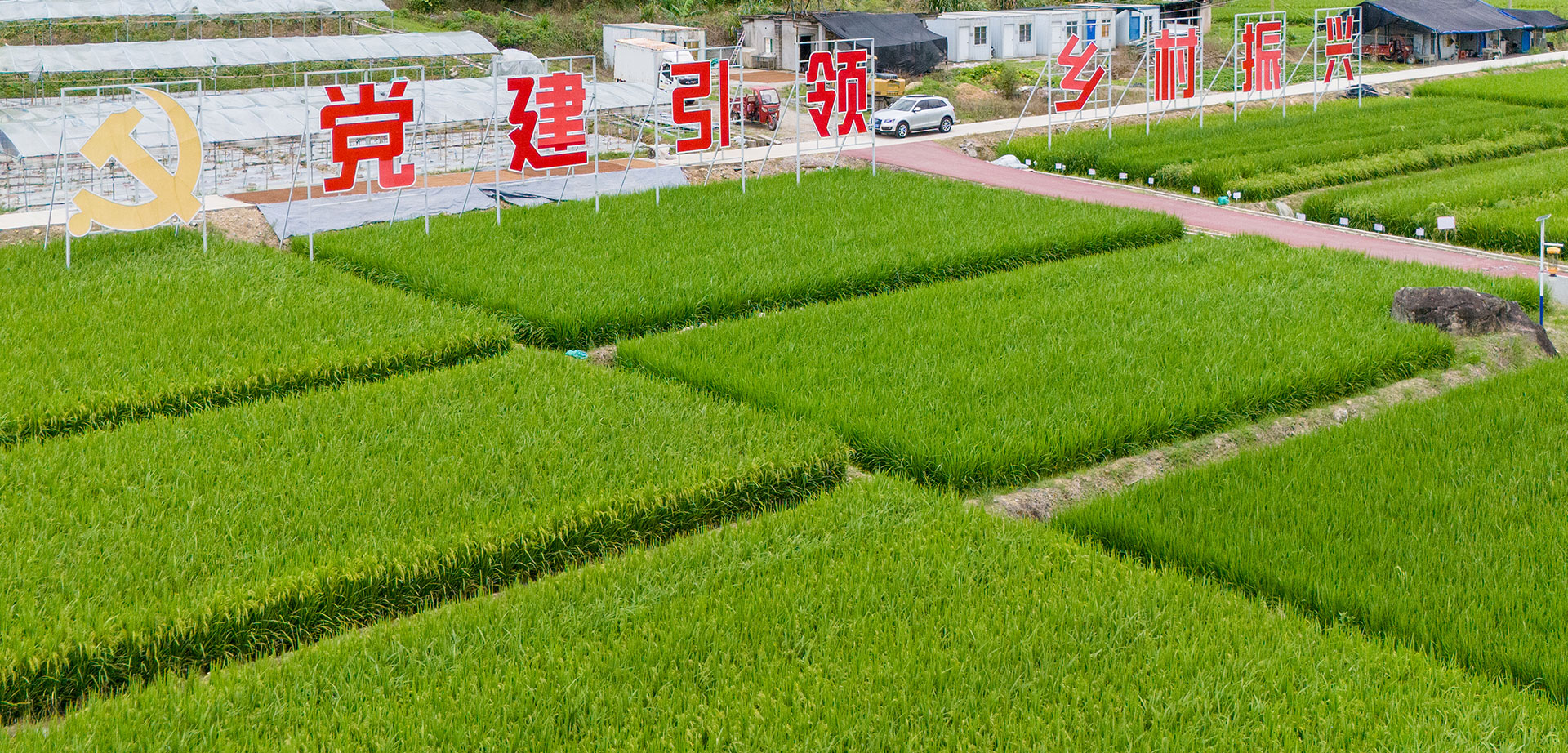 团建活动